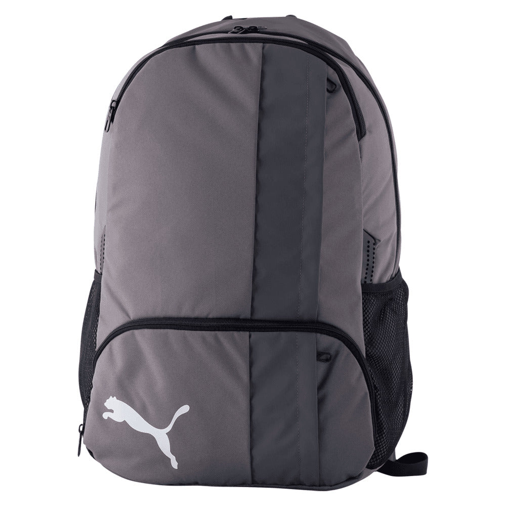 Puma TeamGOAL 23 Backpack Grey