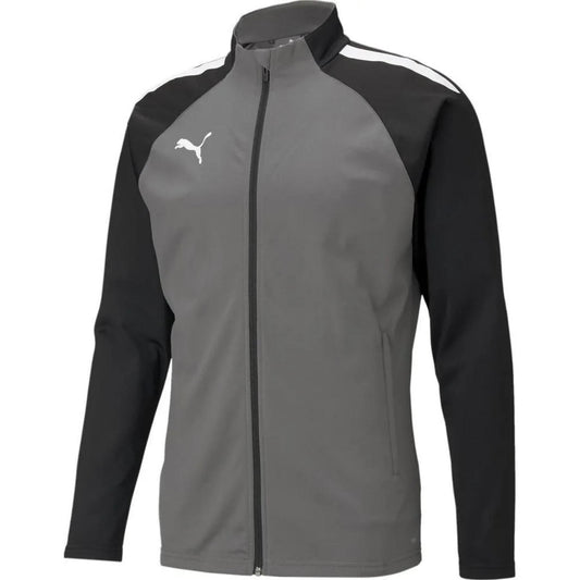 Veste d'entraînement Puma TeamLiga Smoked Pearl