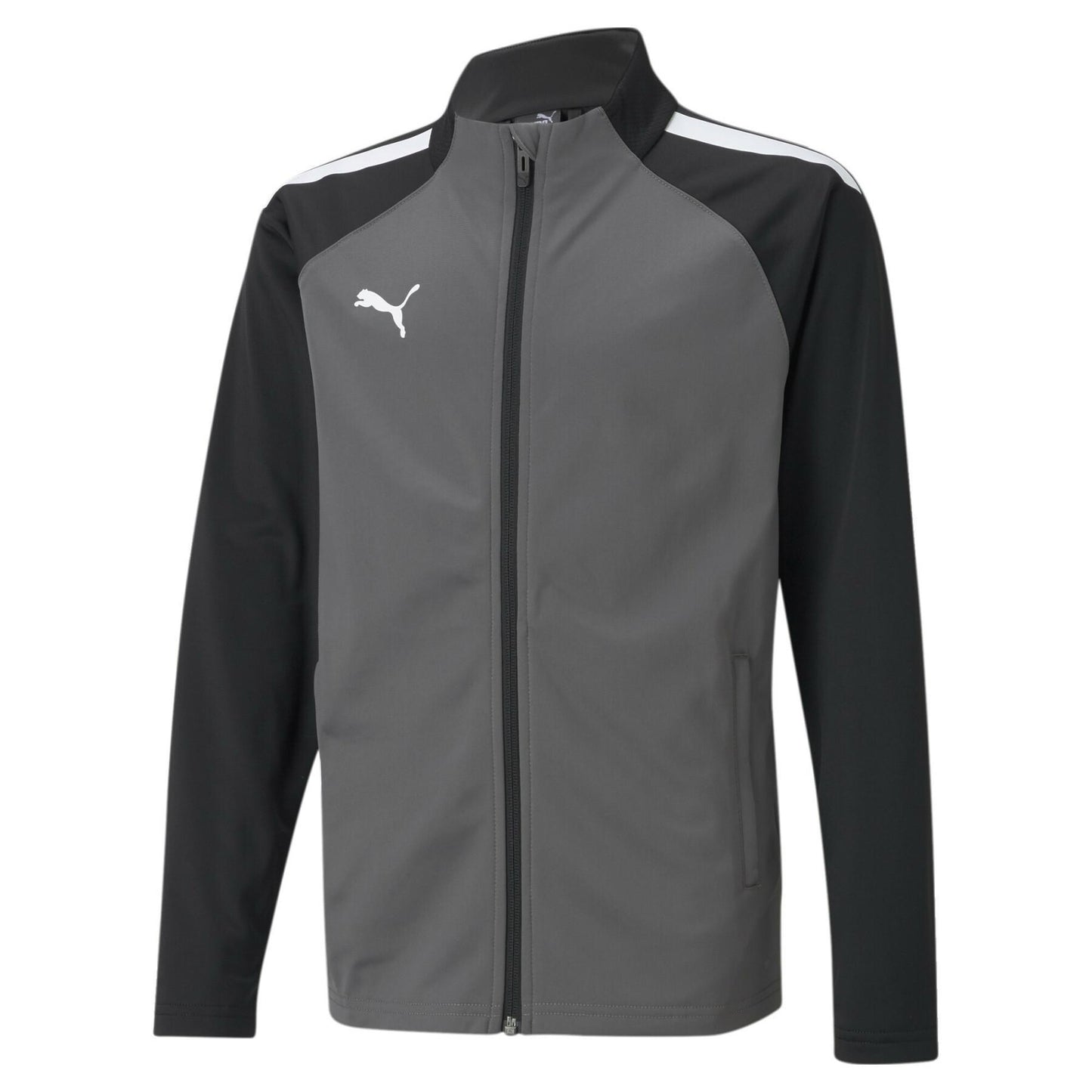 Veste d'entraînement Puma TeamLiga Smoked Pearl pour jeunes