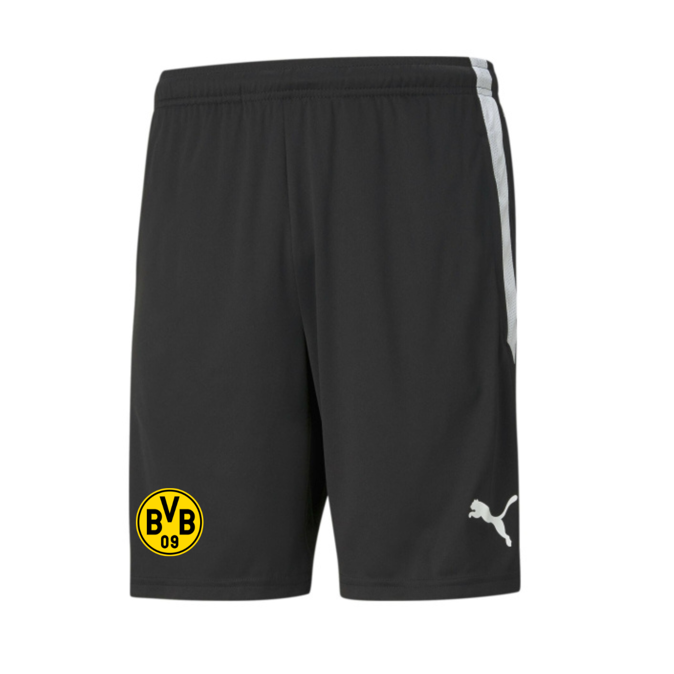 Short d'entraînement Waterloo BVB TeamLiga noir