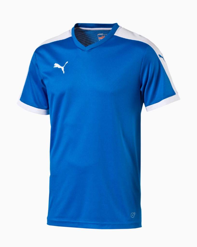 Maillot Puma Pitch Bleu Royal Jeunesse