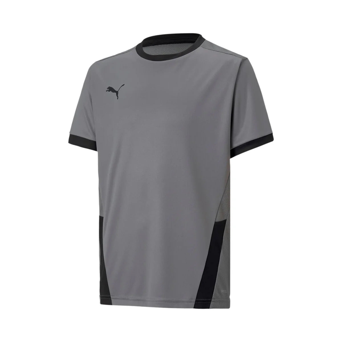 Puma TeamGoal 23 Jersey Steel Grey Youth