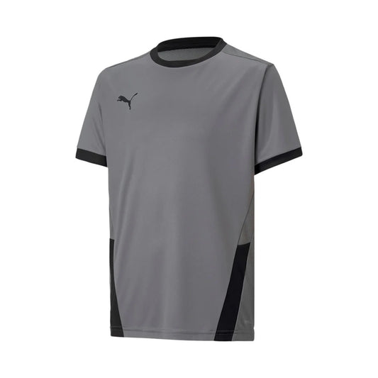 Maillot Puma TeamGoal 23 Gris Acier Jeunesse