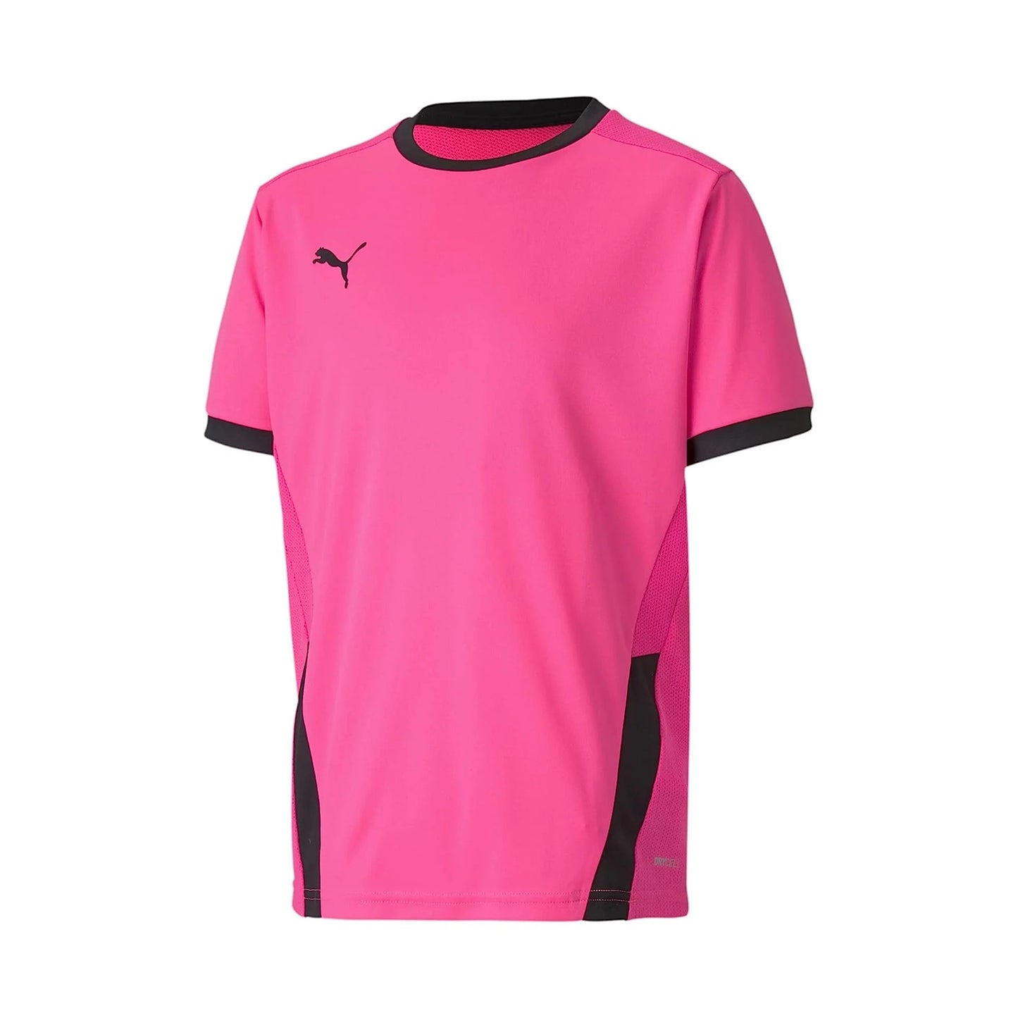 Puma TeamGoal 23 Jersey Pink Youth