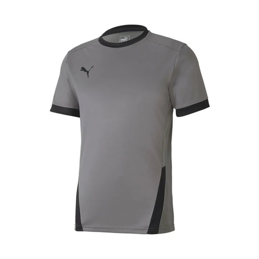 Puma TeamGoal 23 Jersey Grey
