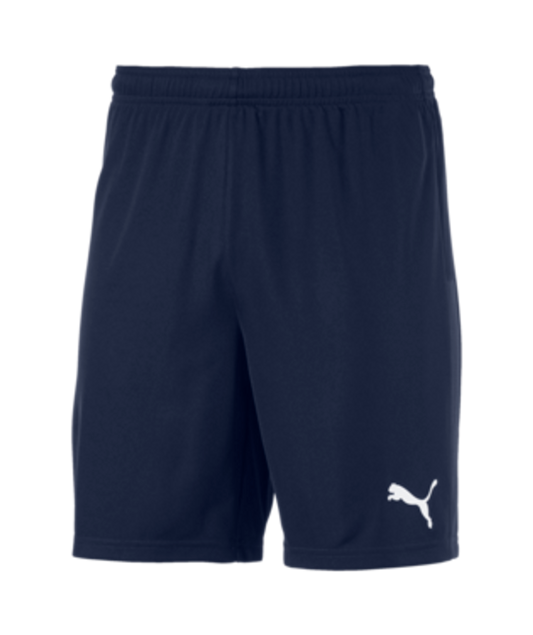 Short Puma TeamGoal 23 Peacoat