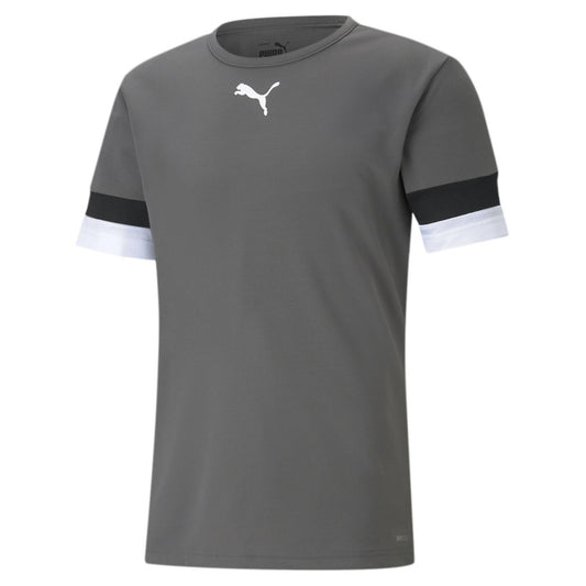 Maillot Puma TeamRise Smoked Pearl