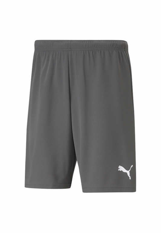 Short Puma TeamRise Smoked Pearl