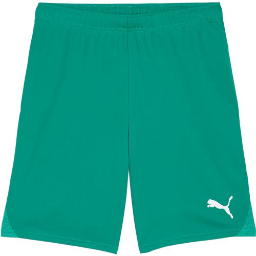 Short Puma TeamGoal Rouge Jeunesse
