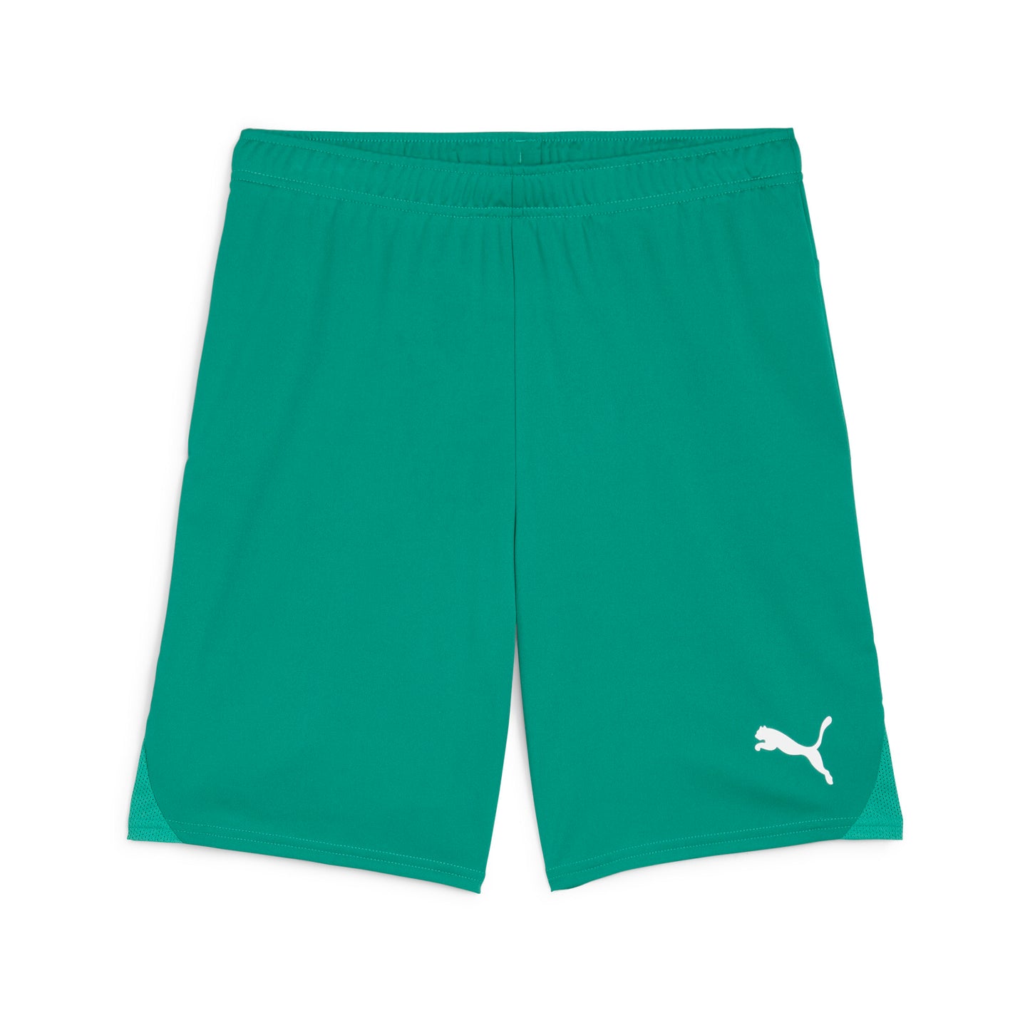 Puma TeamGoal Shorts Green