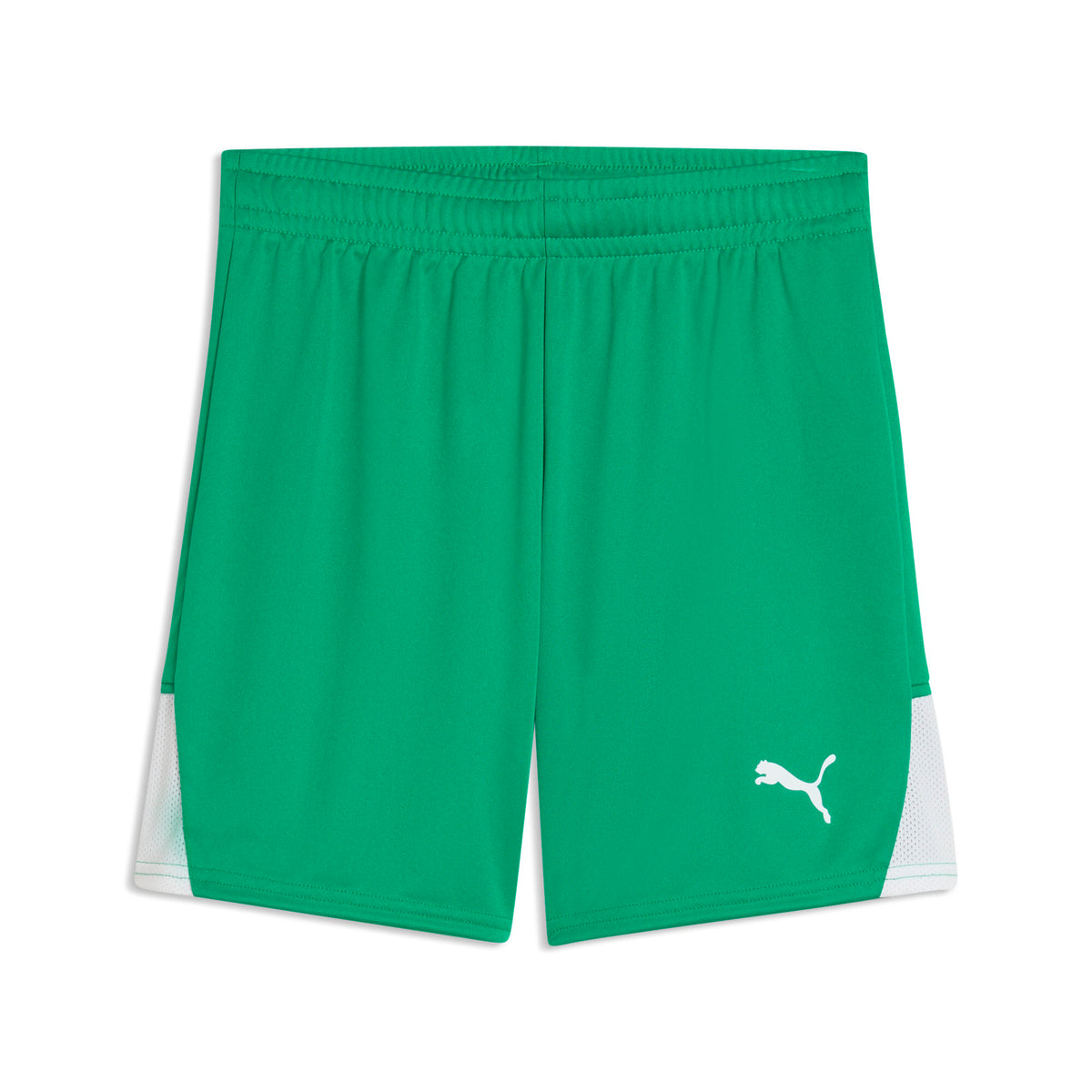 Puma TeamLiga 26 Shorts Green Youth
