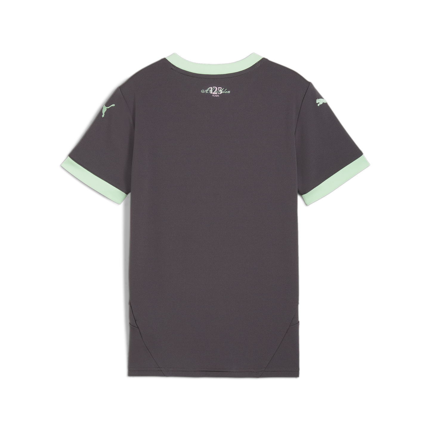 Puma AC Milan 24/25 Third Jersey