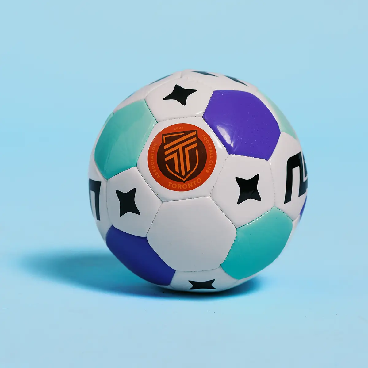 AFC Toronto NSL Mini Ball