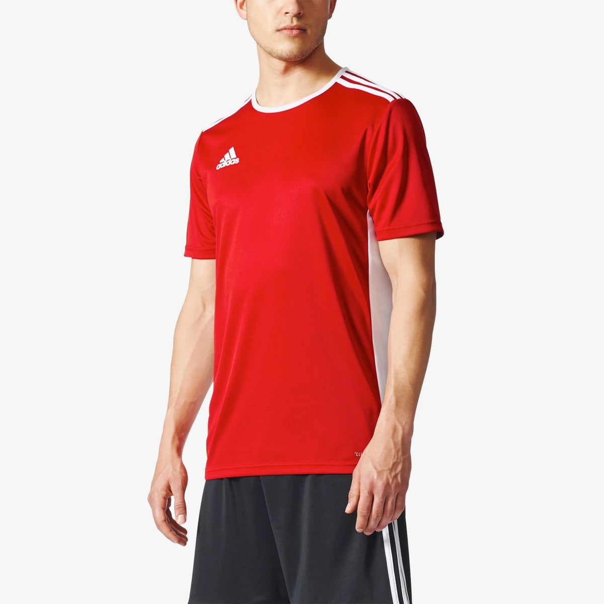Adidas Entrada 18 Jersey Red