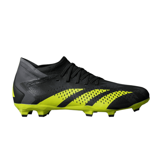 Adidas PREDATOR ACCURACY .3 FG Jeunesse IG0770