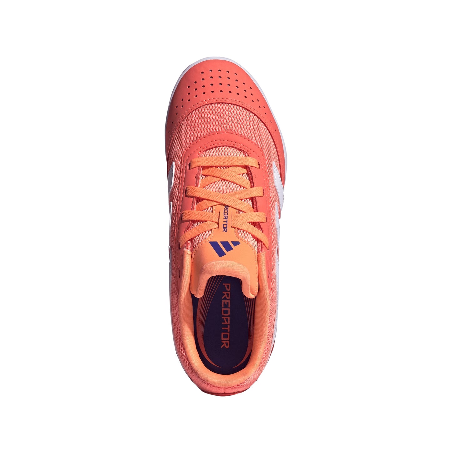Adidas Predator Club Sala Indoor Youth
