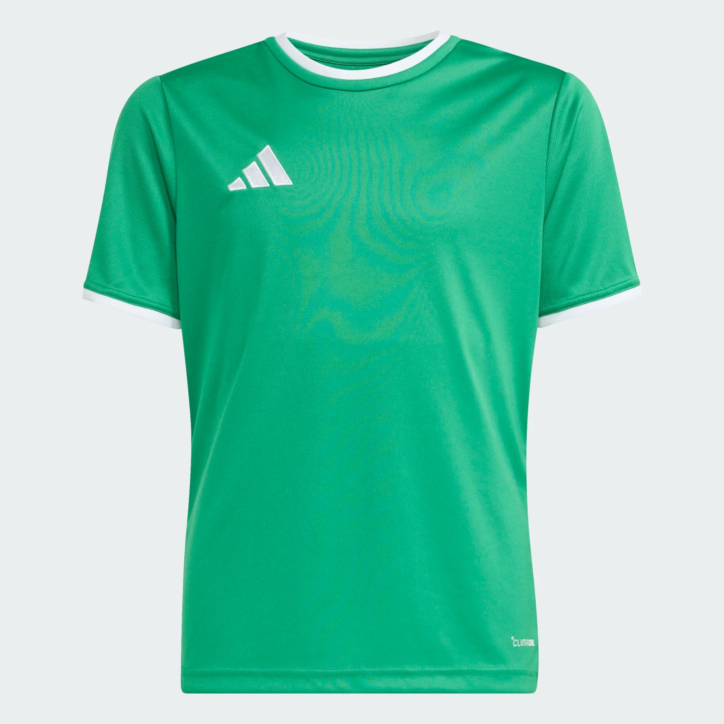 Adidas Entrada 26 Jersey Youth Green