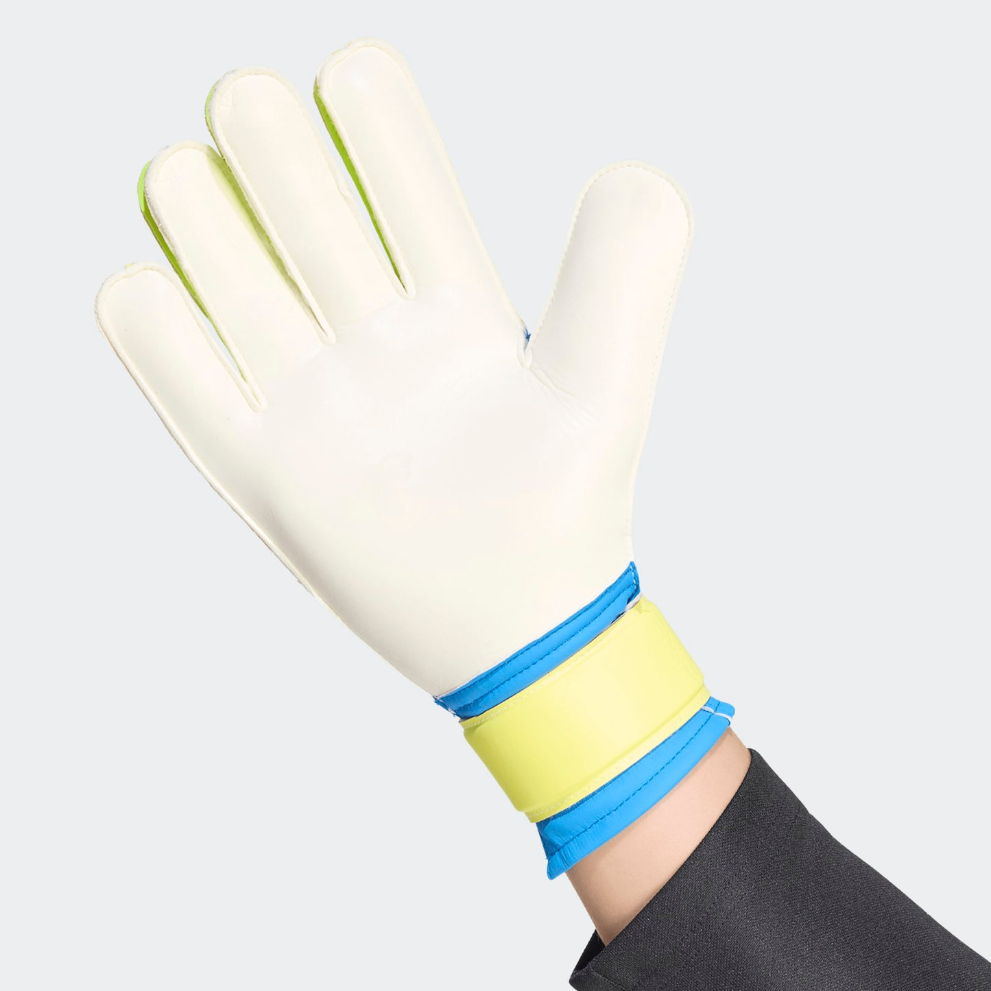 Adidas Predator Training Goalkeeper Gloves