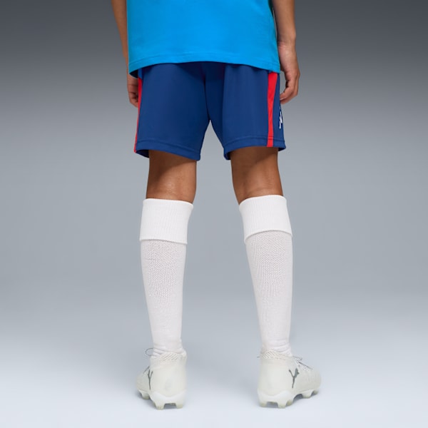 Puma Neymar Playmaker Training Shorts Youth