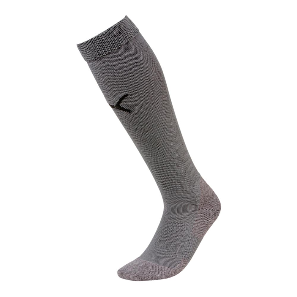 Puma TeamLiga Socks Core Steel Grey