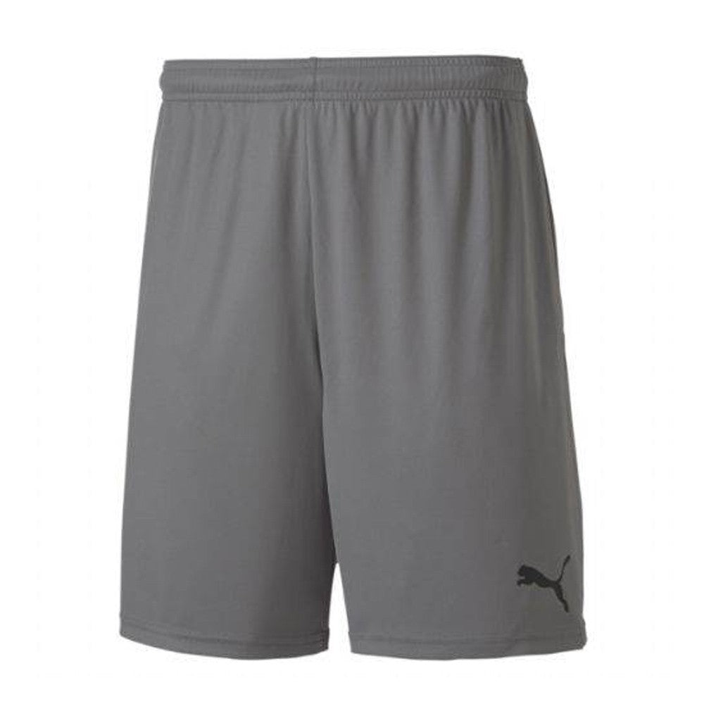 Short Puma TeamGoal 23 Gris Enfant