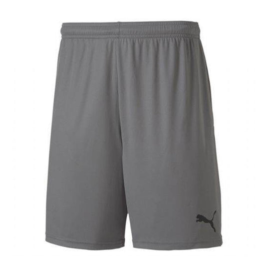 Short Puma TeamGoal 23 gris