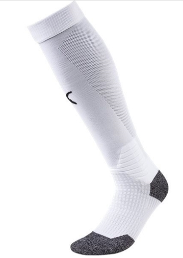 Waterloo United Puma TeamLIGA 26 Core Socks White