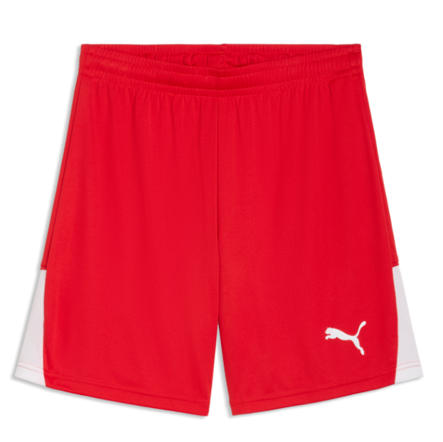Guelph Puma TeamLiga 26 Shorts Youth Red
