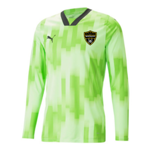Waterloo United Puma TeamTarget Goalkeeper Jersey Lime Youth