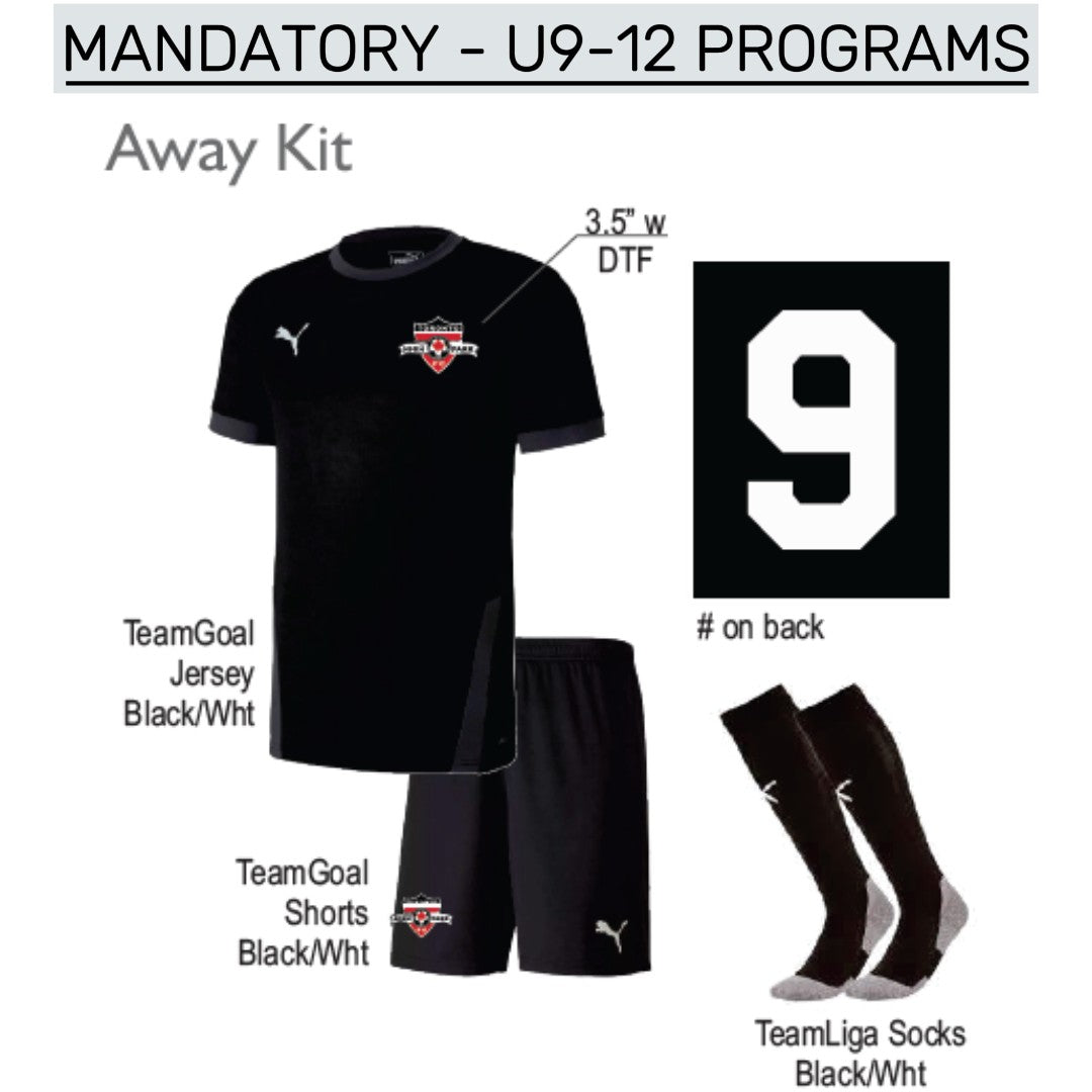 Toronto High Park U9-U12 Competitive Player Program Package (MANDATORY)