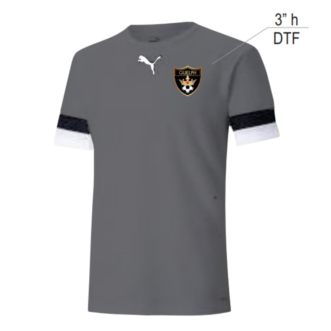 Maillot Puma TeamRise Smoked Pearl