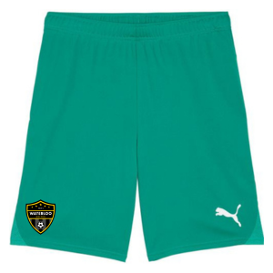 Waterloo United Puma TeamGoal Shorts Green Youth