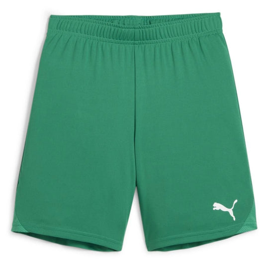 Puma TeamGoal Shorts Green Youth