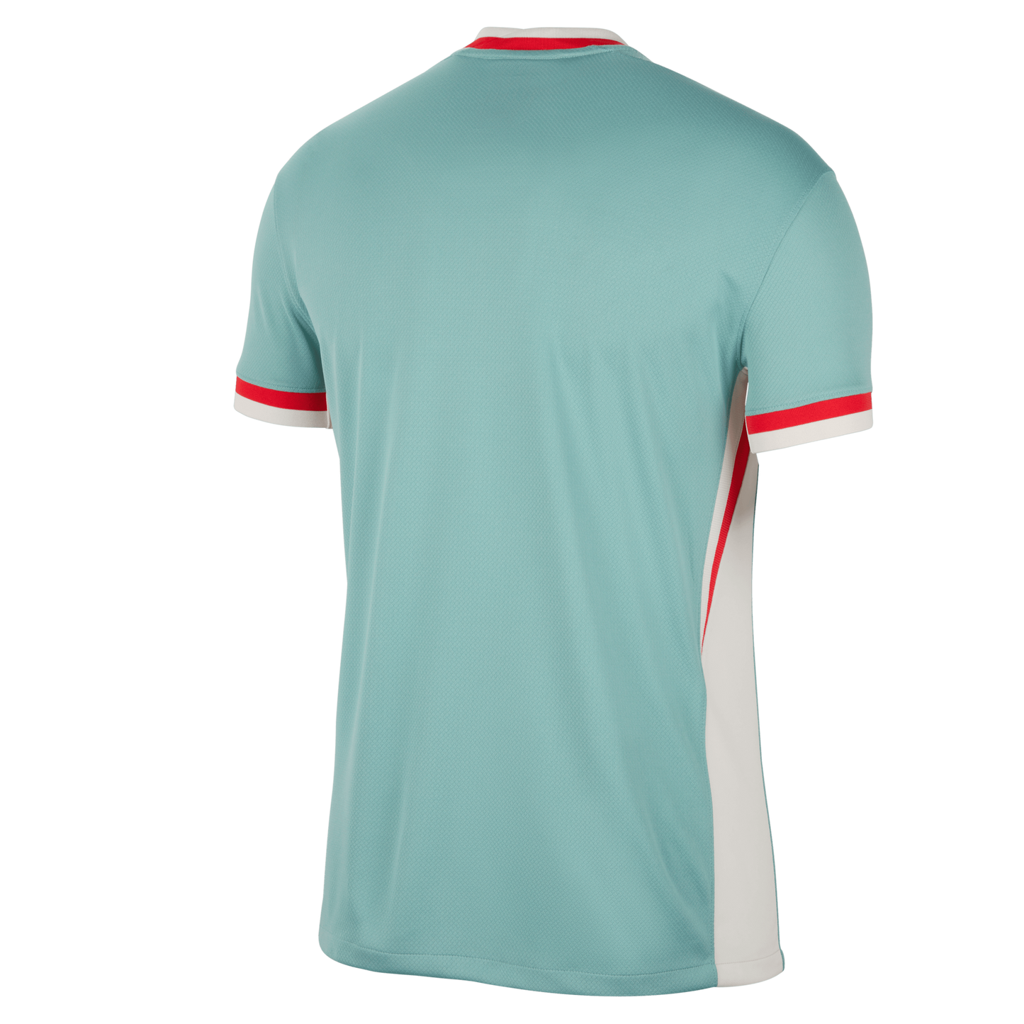 Nike Atletico Madrid 24/25 Away Jersey