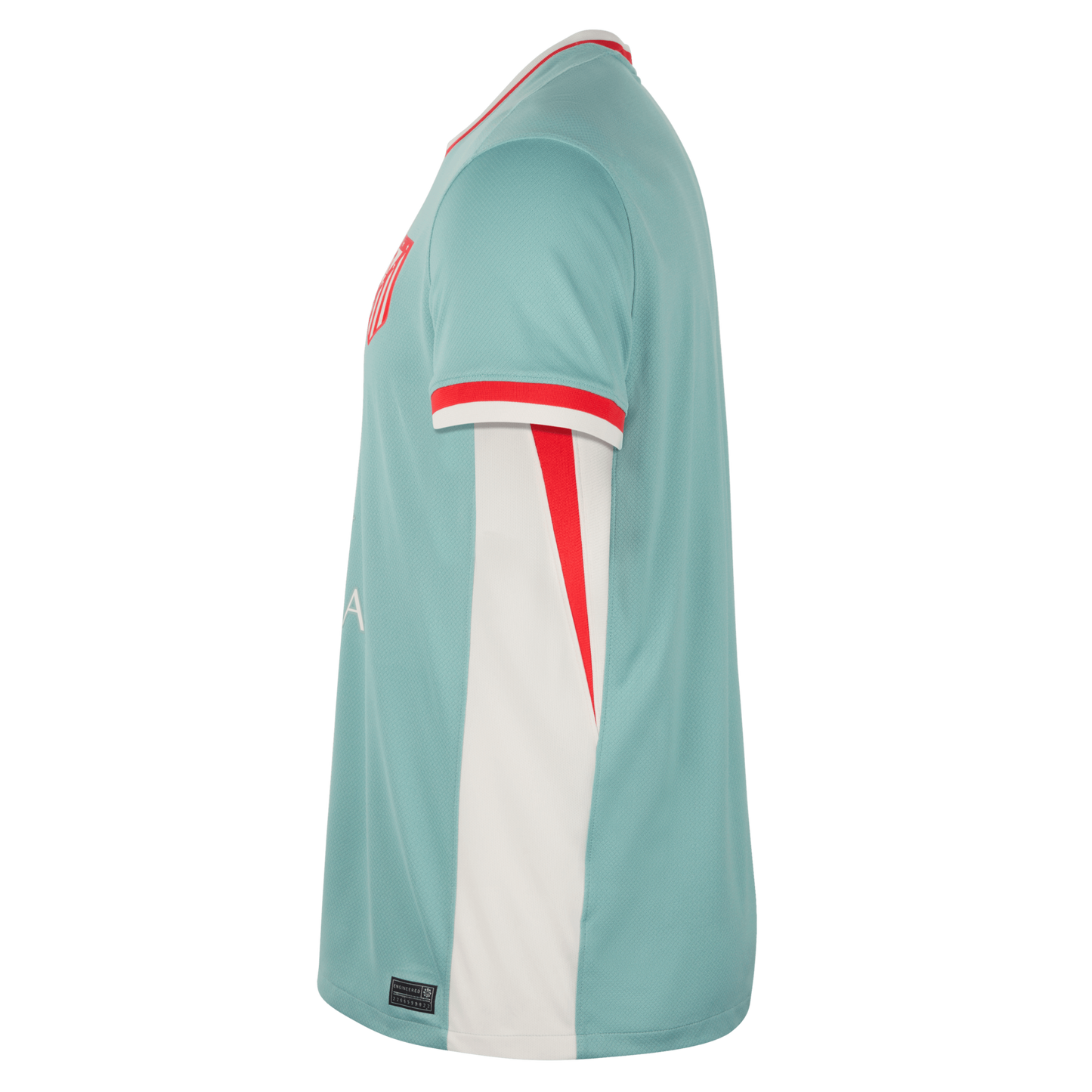 Nike Atletico Madrid 24/25 Away Jersey