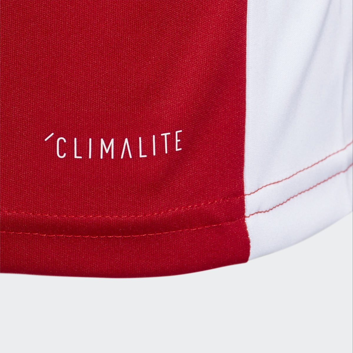 Adidas Entrada 18 Jersey Red Youth