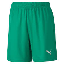 Short Puma TeamGoal 23 Vert Jeunesse