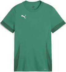 Maillot Puma TeamGoal Matchday Sport Green pour jeunes
