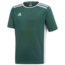 Maillot Adidas Entrada 22 Bleu Marine