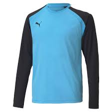 Puma TeamPacer Goalkeeper Jersey Blue Atoll
