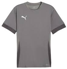 Puma TeamGoal Matchday Jersey Cast Iron