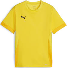 Puma TeamGoal Matchday Jersey Faster Yellow Youth