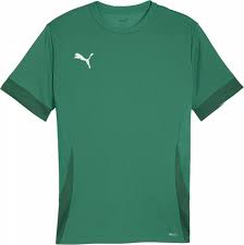Maillot Puma TeamGoal Matchday Sport Green