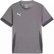 Puma TeamGoal Matchday Jersey Cast Iron Youth