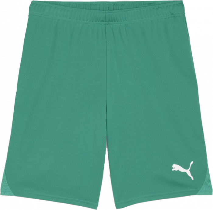 Short Puma TeamGoal Rouge Jeunesse