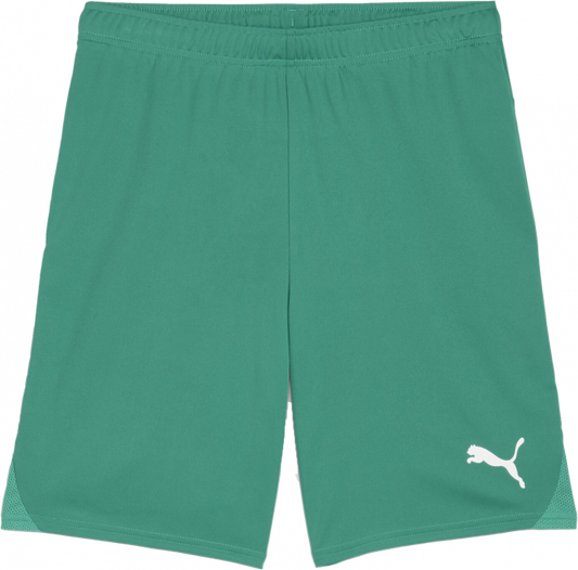 Short Puma TeamGoal Rouge Jeunesse