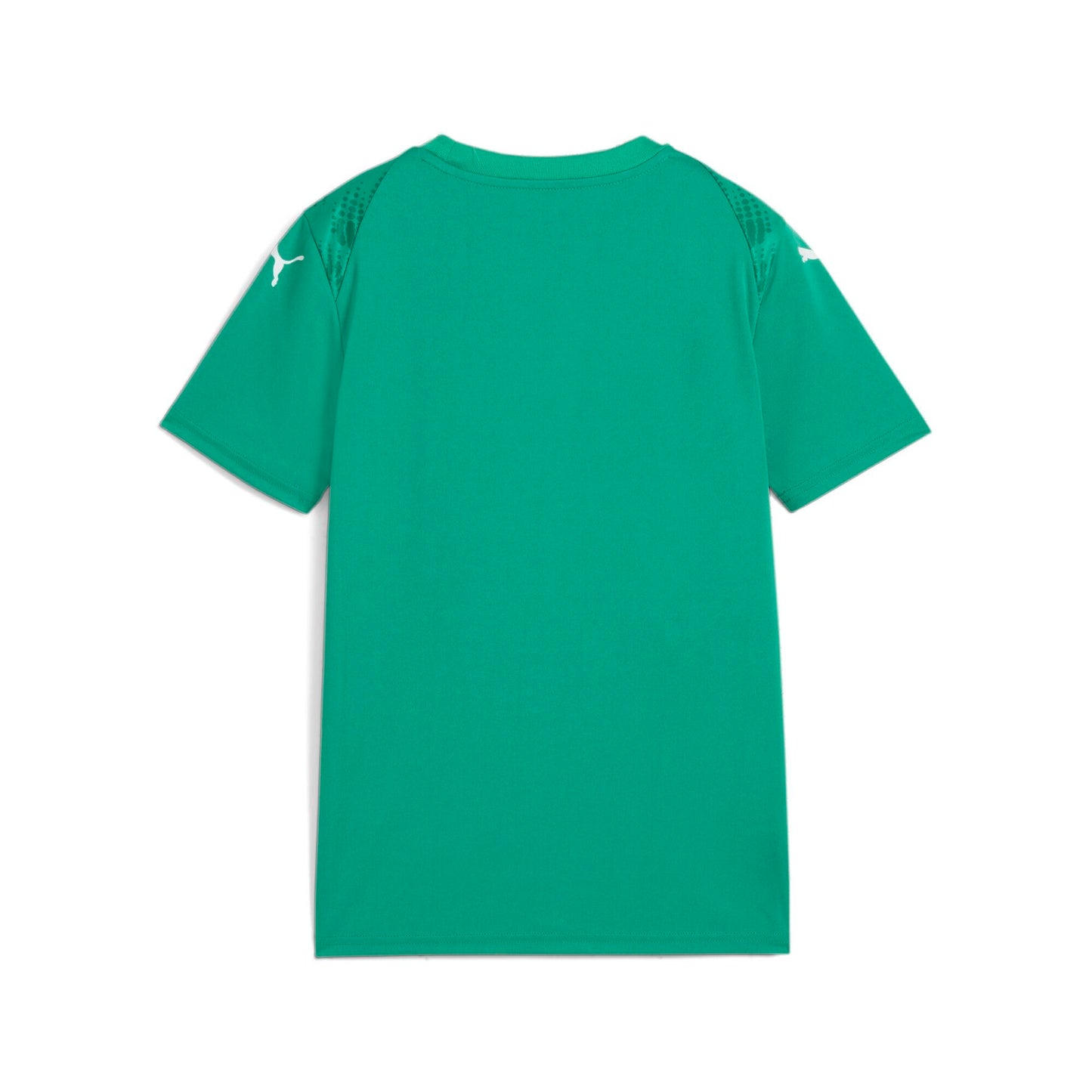 Maillot graphique Puma TeamUltimate rouge pour jeunes