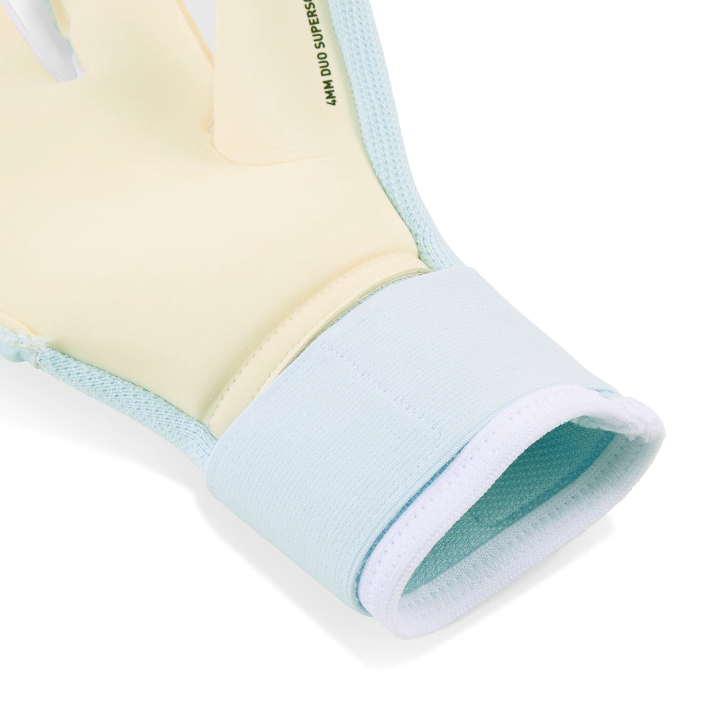 Puma Future Pro Hybrid Goalkeeper Gloves