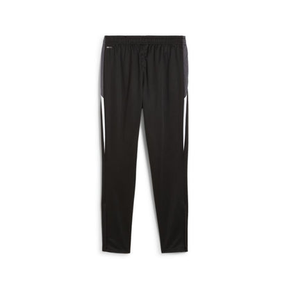 Puma IndividualLIGA Training Pants