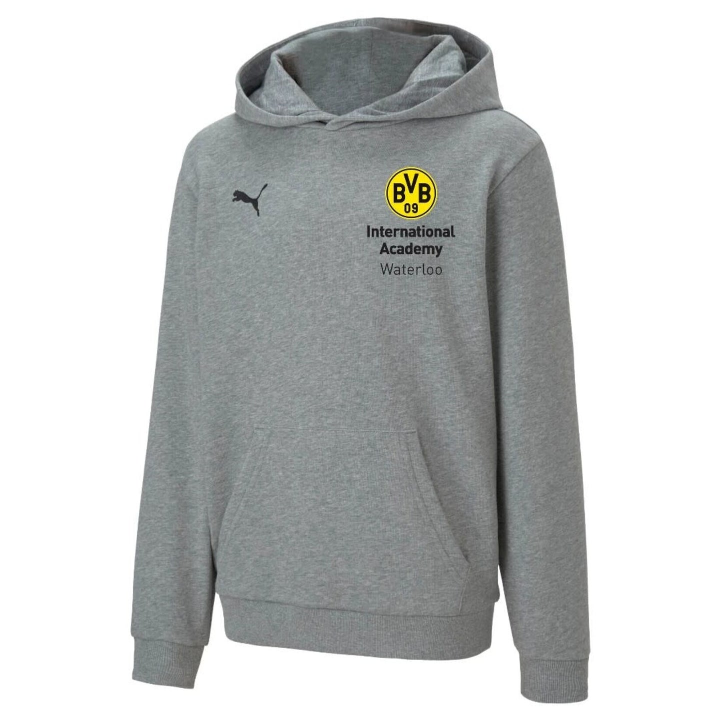 Sweat à capuche décontracté Waterloo BVB TeamGoal 23 gris pour jeunes